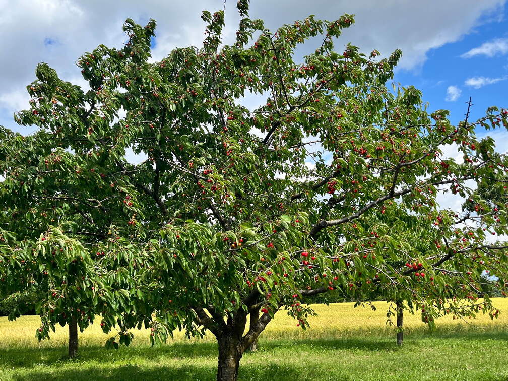 22-06-06 11-18-43 1052